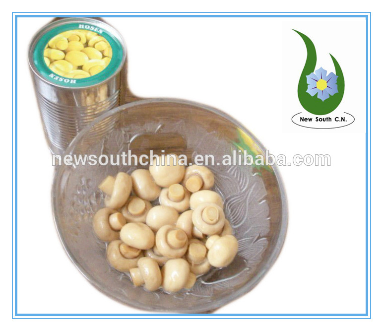 Canned Mushrooms PNS China OEM Or New South China Price Supplier 21food