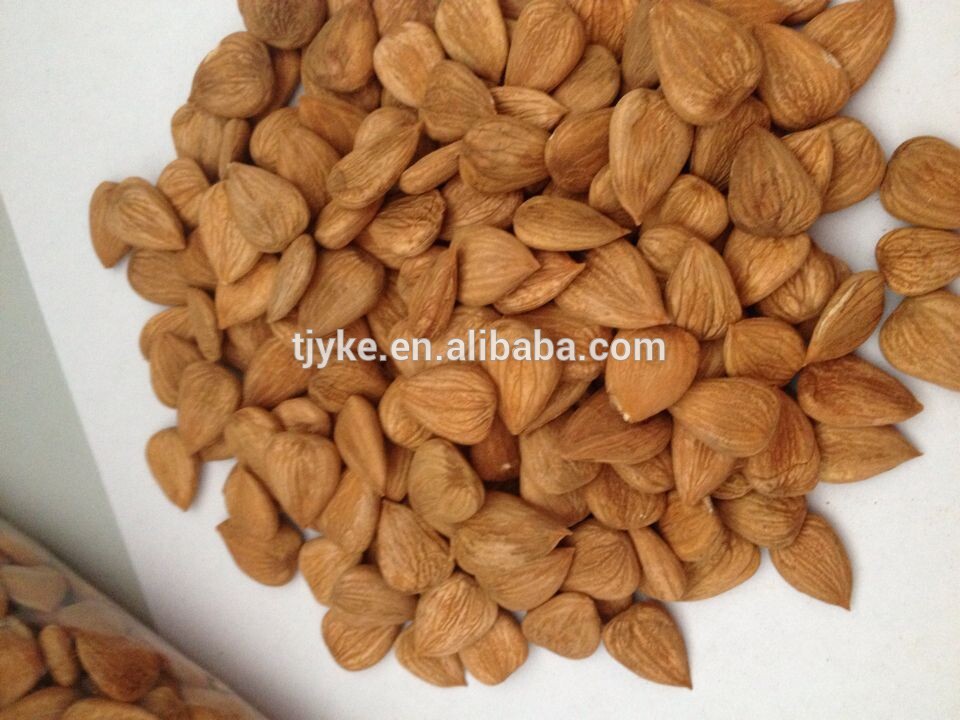 Bitter Apricot Kernels Sweet Raisin Dry Fruits China Yke Price