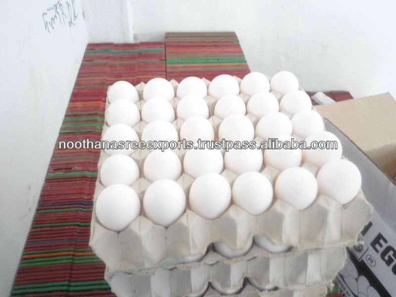 Tamil Nadu Fresh Chicken Egg For Sale products,India Tamil Nadu Fresh