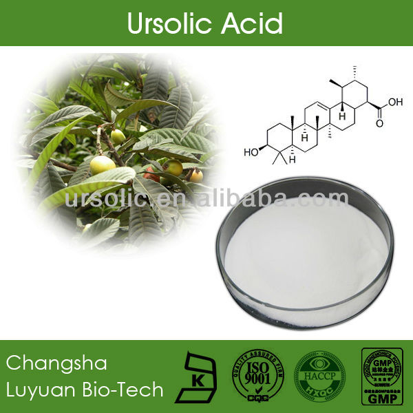 ursolic-acid-extract-products-china-ursolic-acid-extract-supplier