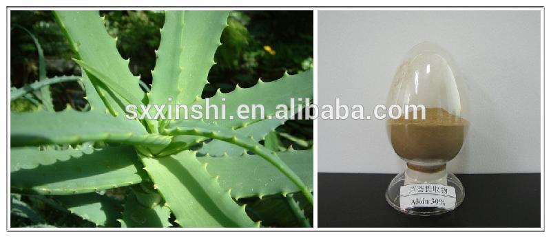 Is Aloe Vera Gel Water Soluble 52