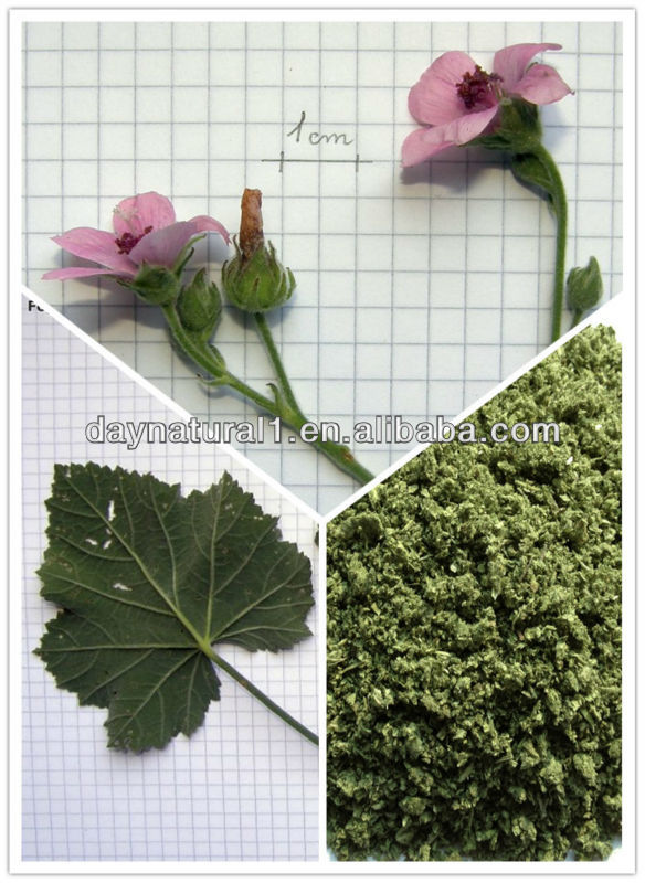 tobacco replacement marshmallow leaf