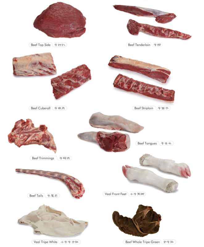 beef tendon products,New Zealand beef tendon supplier