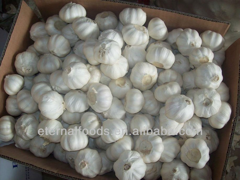 Chinese Pure White Garlic Packing 10kg China ETERNAL Price Supplier