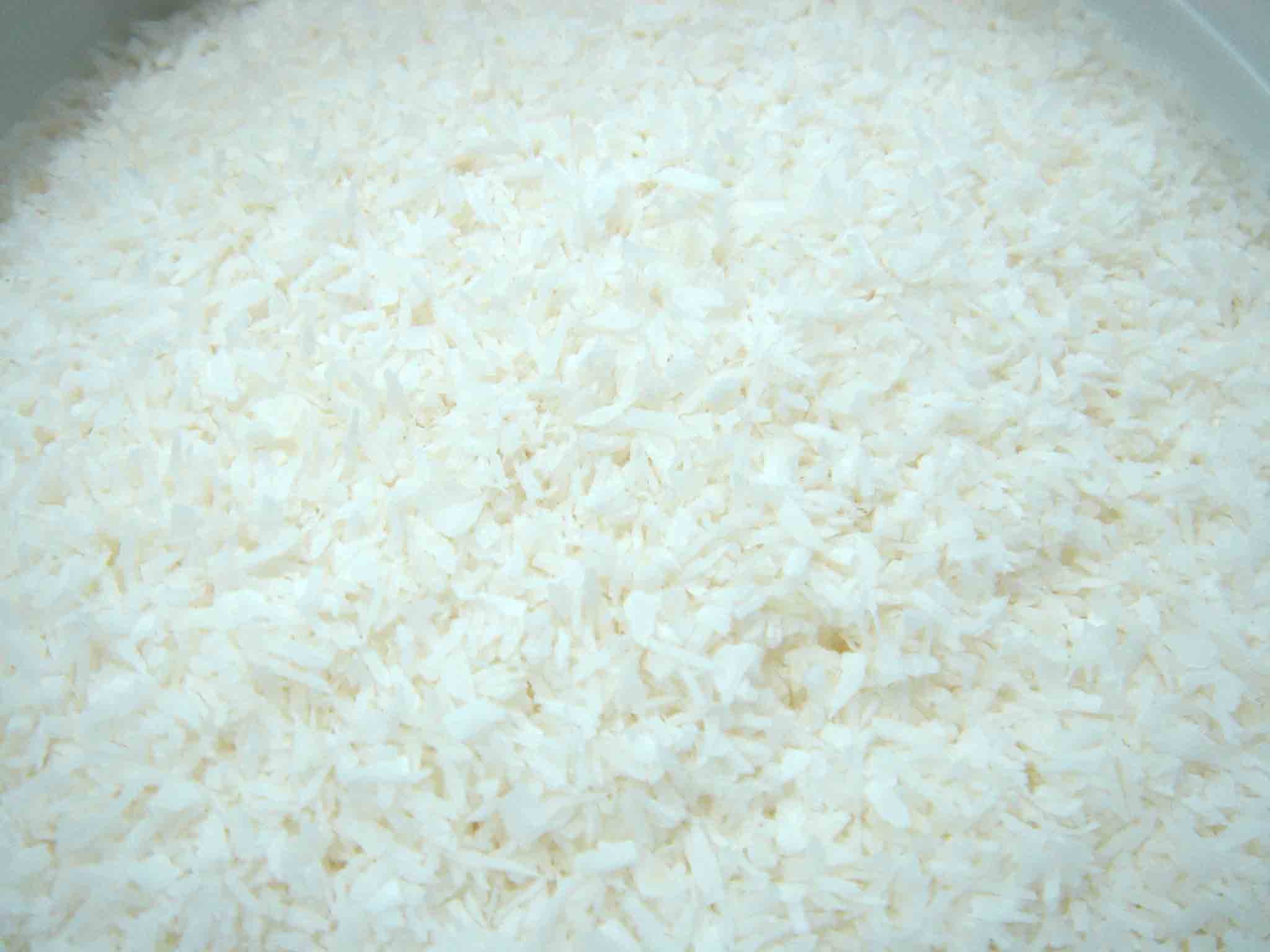 Desiccated Coconut Low Fat 75
