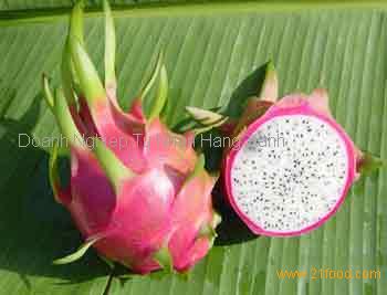 OFFER FOR FRESH DRAGON FRUIT BEST QUALITY FROM VIETNAM