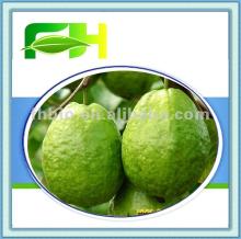 organic guava paste
