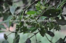 Aforex ltd