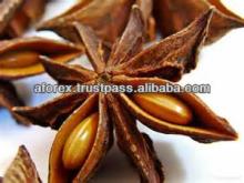 Aforex ltd