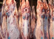 Halal Frozen Beef