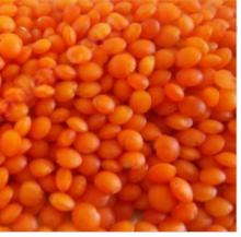 dried split red lentil from turkey