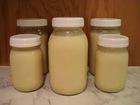 Beef Tallow oil for sale