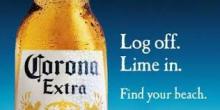 corona extra beer