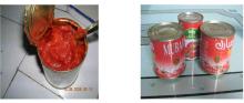 canned tomato paste in tin for sale at affoirdable price
