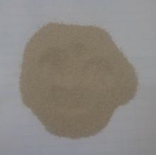 bakery yeast
