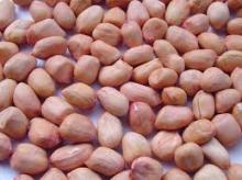 PEANUTS