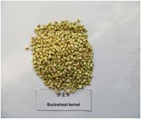 buckwheat kernel