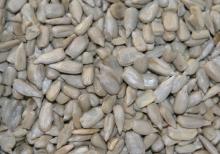 Sunflower oil