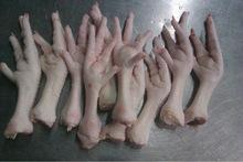 frozen chicken feet and paws