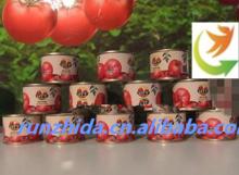 canned tomatoes paste processing plant