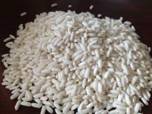 glutinous rice