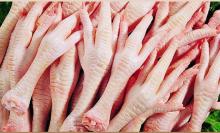 Grade A Halal Certified Frozen Chicken Feet and Paws for Sale - Brazil Origin