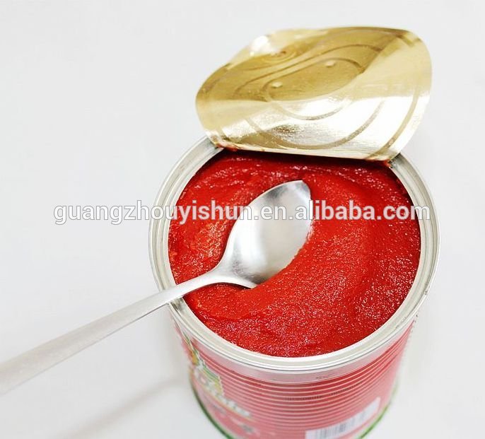 70g Best Tomato Paste Brands With Easy Open Lid Manufacturerchina Oem Price Supplier 21food 0504