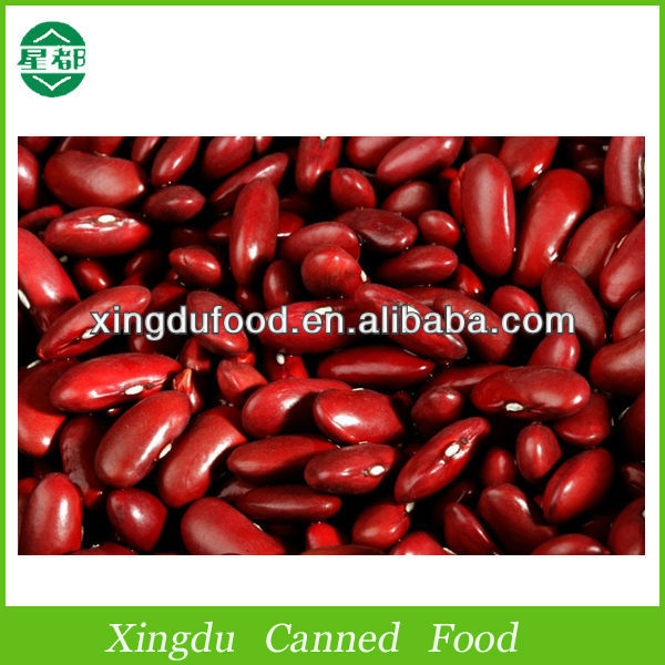 2013 Canned beans in tomato sauce with competitive price