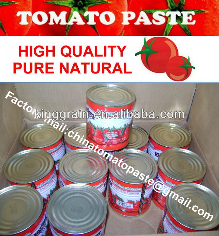 Canned Tomato Paste 800gtin Normal Openchina Oem Price Supplier 21food