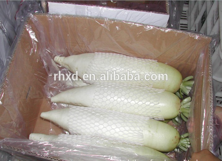 2014 fresh white carrots,China RHXD price supplier - 21food