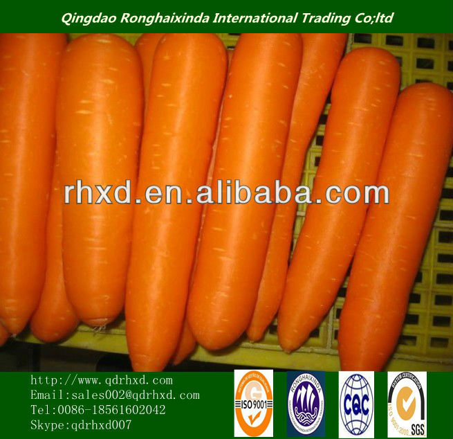 2014 New Crop china fresh carrot,China RHXD-007 price supplier - 21food