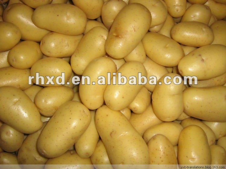 cheap potatoes,China rhxd price supplier - 21food