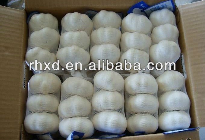 2014 new crop china farm wholesale natural garlic supplier