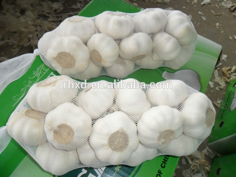 2014 new crop natural garlic