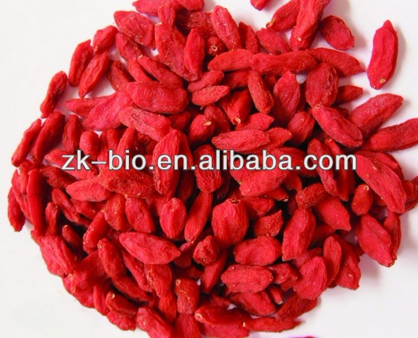 Chinese High Quality Ningxia Goji Berries