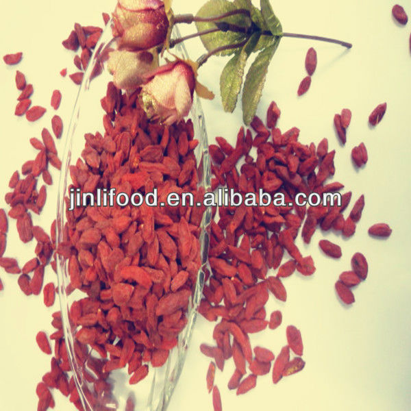 New products Ningxia Goji berry high quality