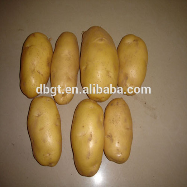 In 2014 China Common types fresh potato,China DB GuoTai price supplier ...