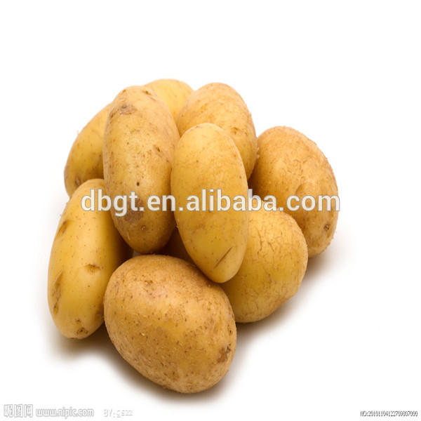 new fresh potato,potatoes in 2014 Cheap and fine,China DingBianGuoTai ...