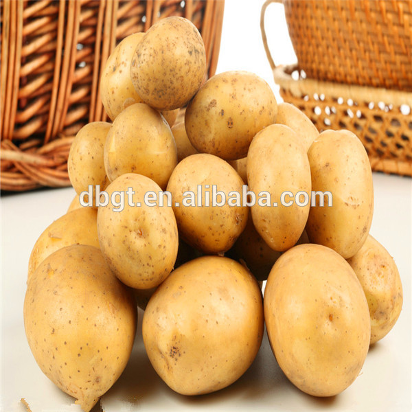 potato price is low/cheap potato for foreign vegetable market,China ...