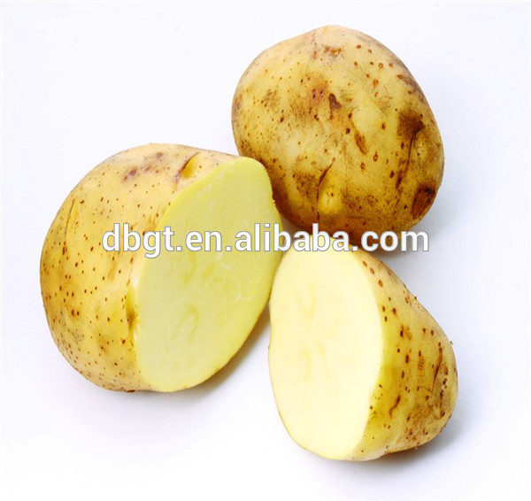 high quality potato ,holland potato, fresh potato,China DBGT price ...