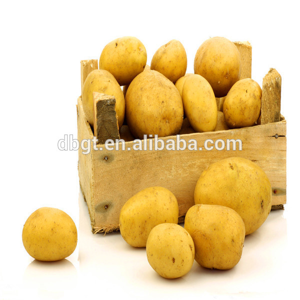 2014 china new crop seed potato for sowing,China DBGT price supplier ...