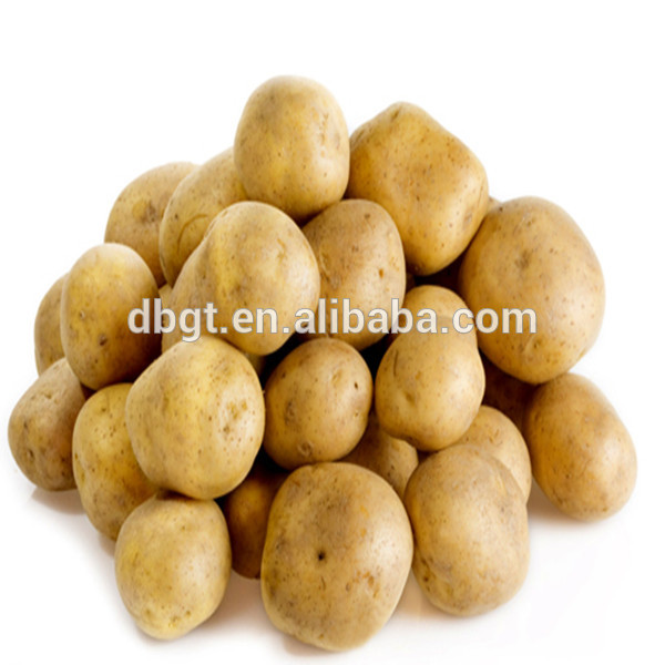 High starch content of fresh potatoes,China Guotai price supplier - 21food