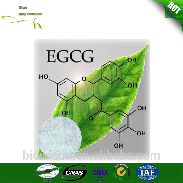 Favorites Compare Natural EGCG from Organic Green Tea Extract Powder