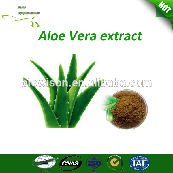 Aloe vera extract 200:1