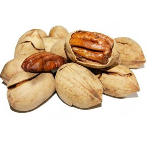 Organic air dried almond with high quality with ISO ,KOSHER, whole sale ...