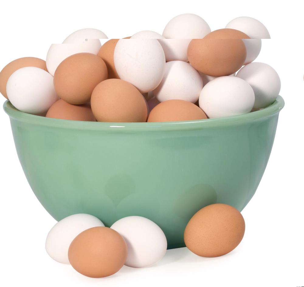 Fresh Chicken Egg White And Brown Size 40g 50g 60g 65g 70g Products Iran Islamic Republic Of Fresh Chicken Egg White And Brown Size 40g 50g 60g 65g 70g Supplier