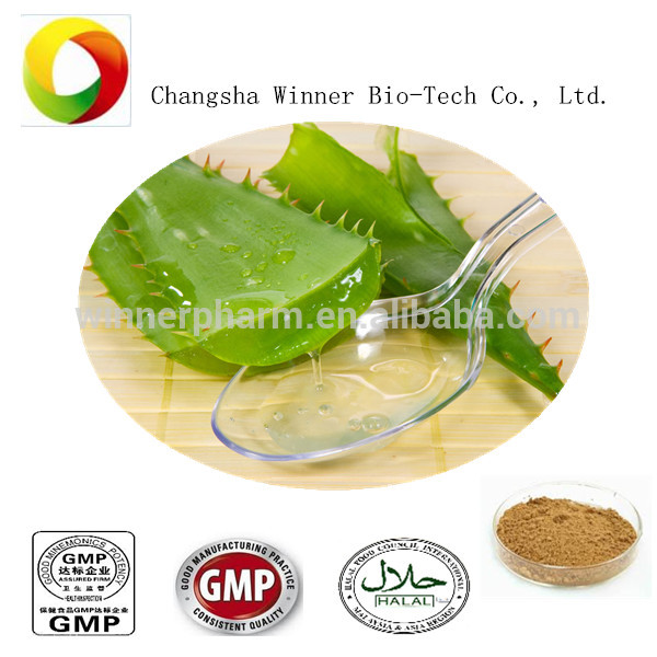 High Quality Aloe Vera Extractaloe Vera Extract Plantaloe Extract Powderchina Winner Price 0727