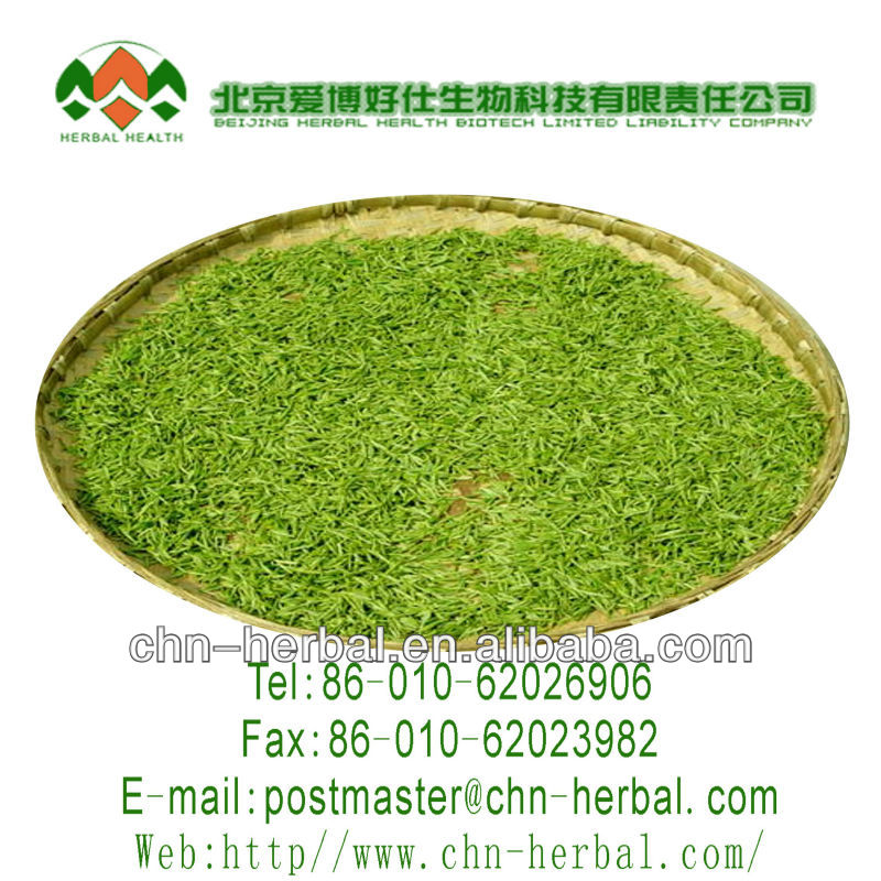 China organic royal green tea
