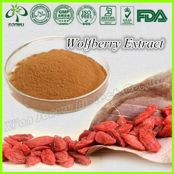 Chinese wolfberry extract powder goji berry