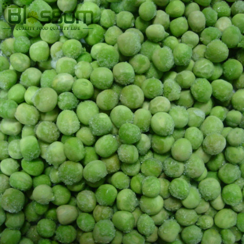 best quality whole sale frozen  green peas frozen vegetable  